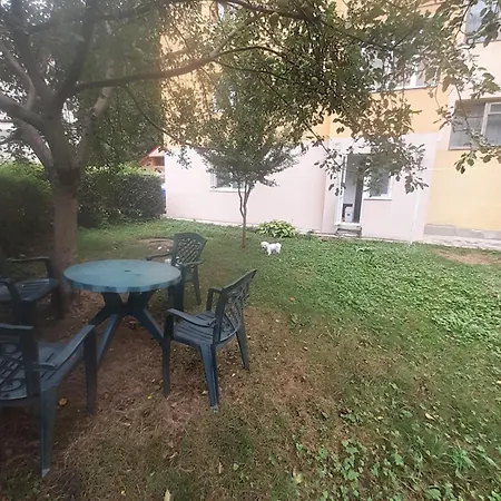 Apartament Parter Cu Gradina Slanic Moldova Exterior photo
